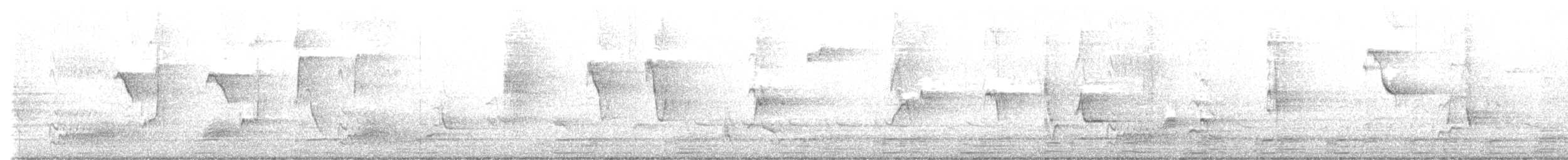 Gray Catbird - ML635182634