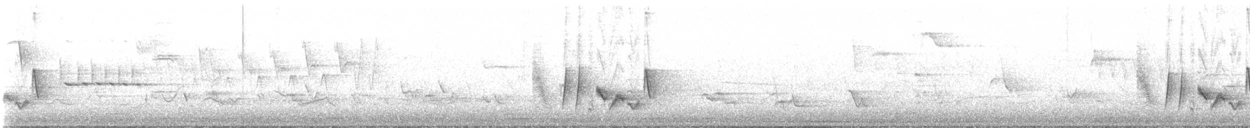 White-eyed Vireo - ML635188093