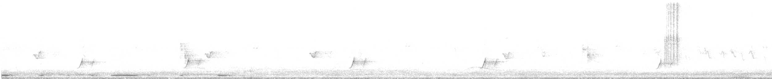 Brown-crested Flycatcher - ML635189601