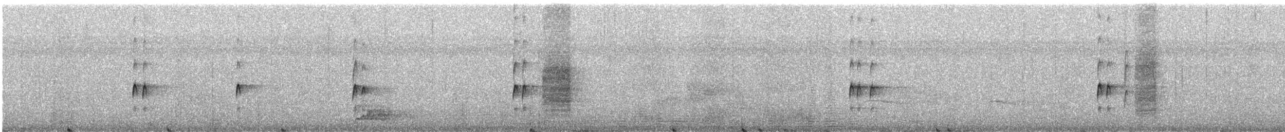 Carolina Wren - ML635190955