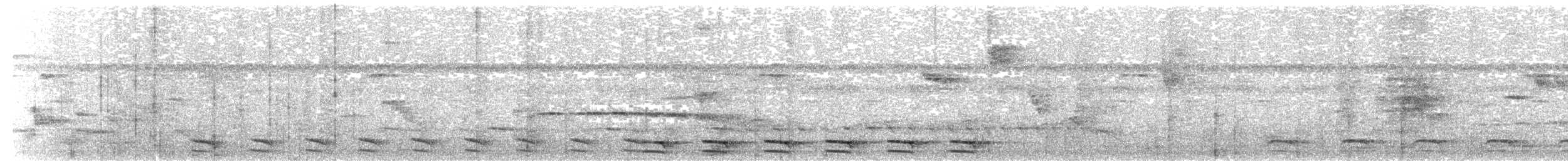 White-shouldered Antshrike - ML635191432