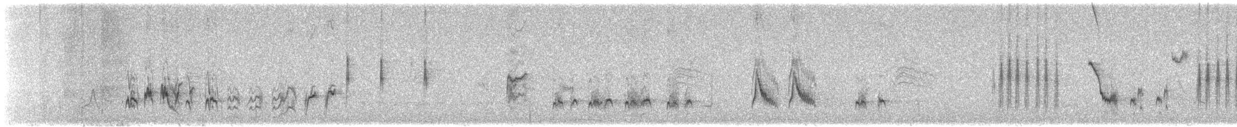 Crissal Thrasher - ML635193177