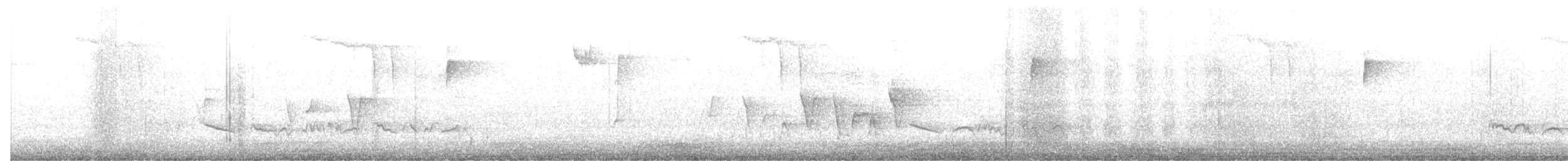 Connecticut Warbler - ML635196101