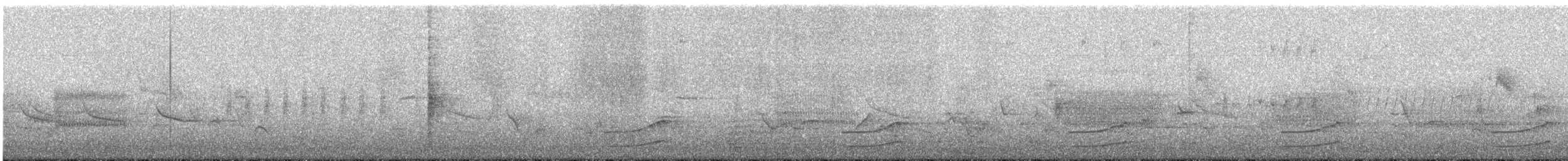 Sora - ML635196706