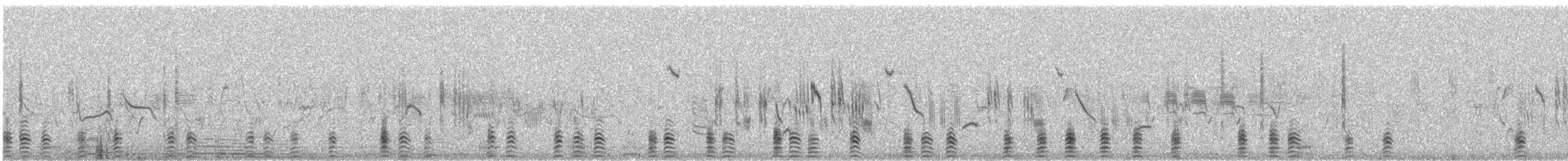 Ruddy Shelduck - ML635197950