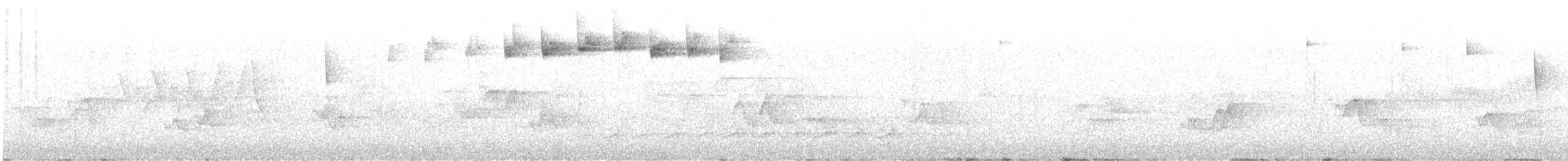 Blackpoll Warbler - ML635198258