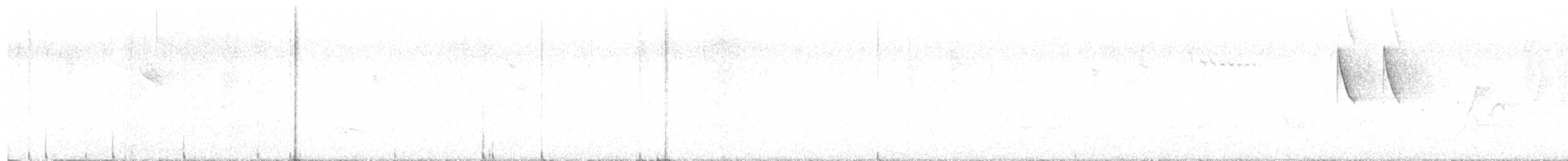 Rotsteiß-Mistelfresser - ML635198912