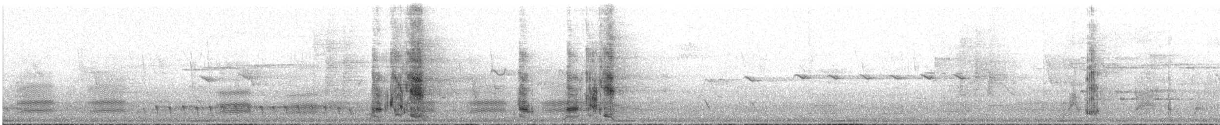 Yellow Wattlebird - ML635201760