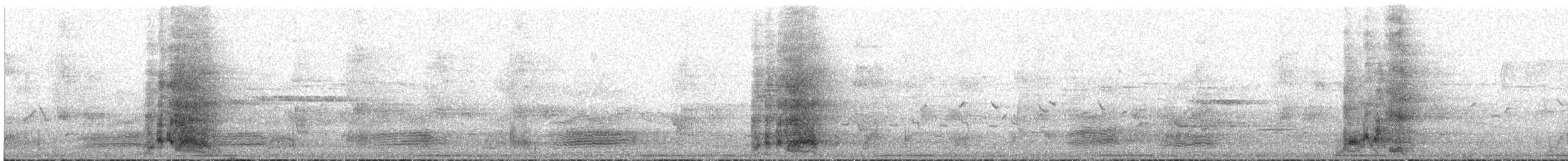 Yellow Wattlebird - ML635201763