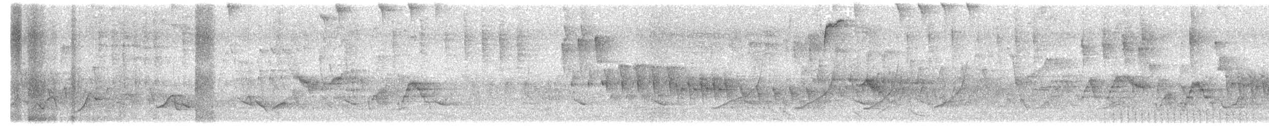 Gray-cheeked Thrush - ML635206483