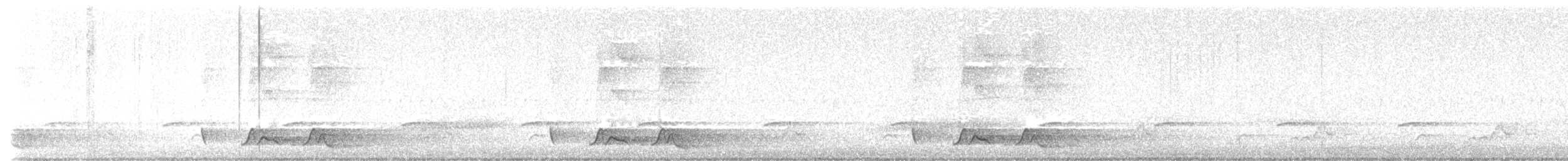 Chuck-will's-widow - ML635209024