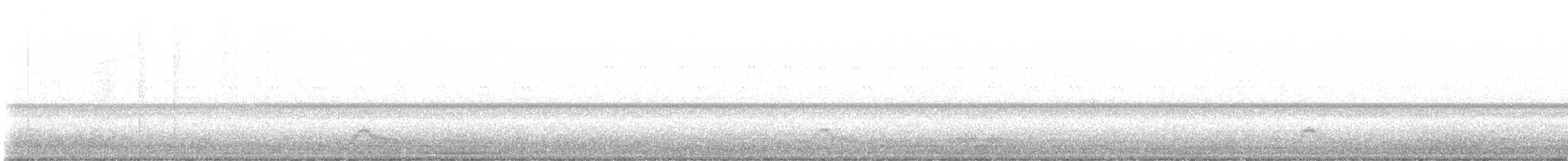 Porak - ML635211736