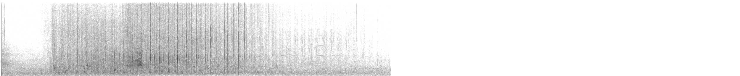 Smergo minore - ML635215815