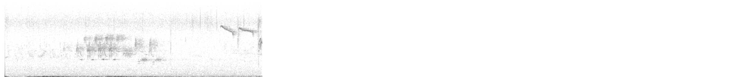 strnad šedý (ssp. cineracea) - ML635216533