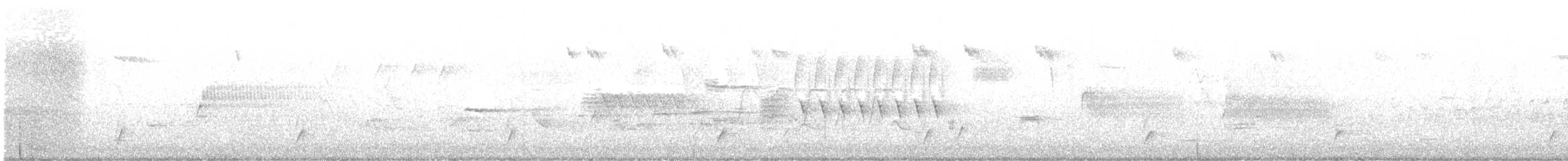 Swainson's Thrush - ML635216745