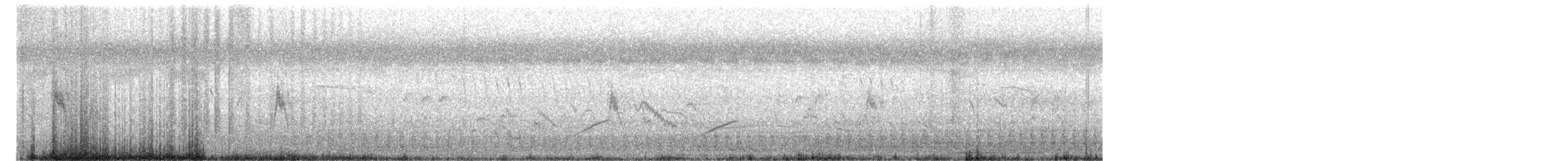 Pipit de Richard - ML635224476