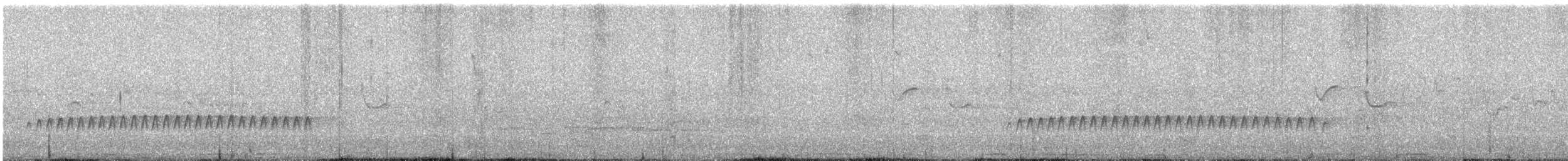 spettmeis - ML635227380