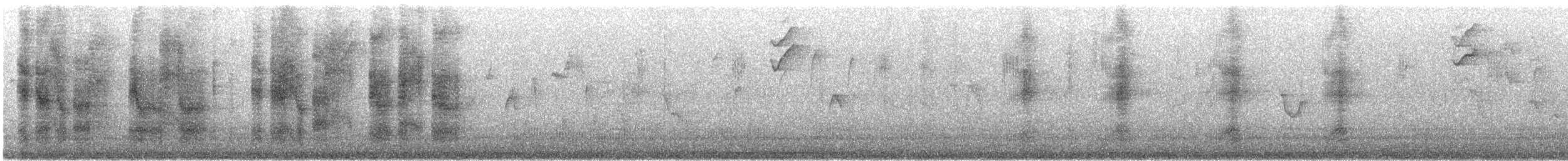 ヨコジマサボテンミソサザイ - ML635227633