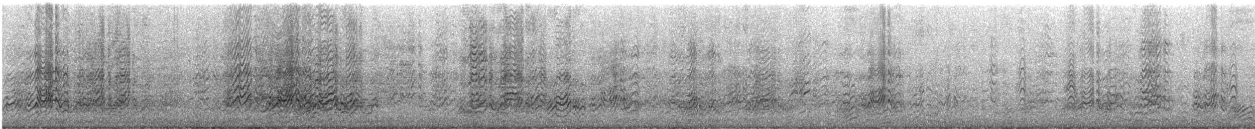 Sterna scura - ML635228797