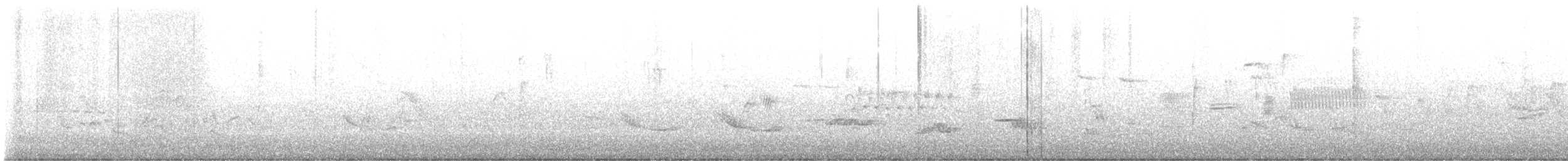 Gray Catbird - ML635231071