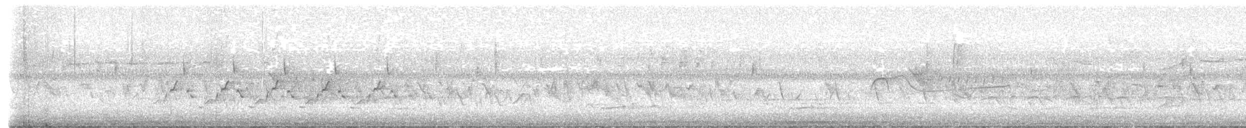 Hellbauch-Schnäppertyrann - ML635233015