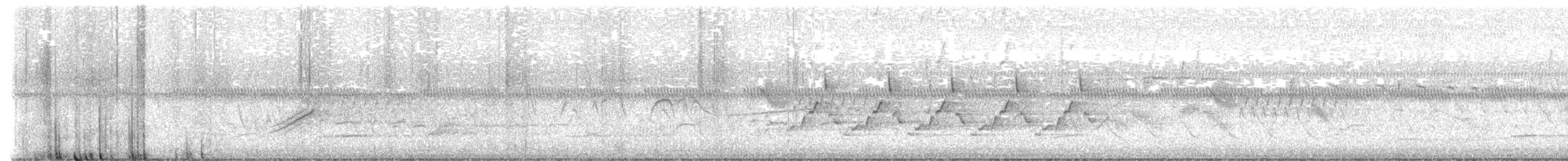 Hellbauch-Schnäppertyrann - ML635233016