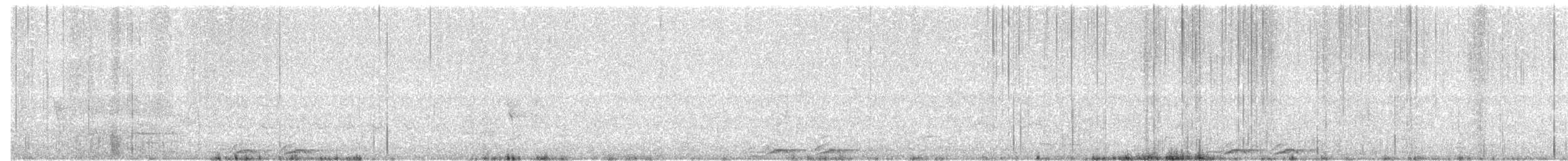 Лающая иглоногая сова - ML63523511