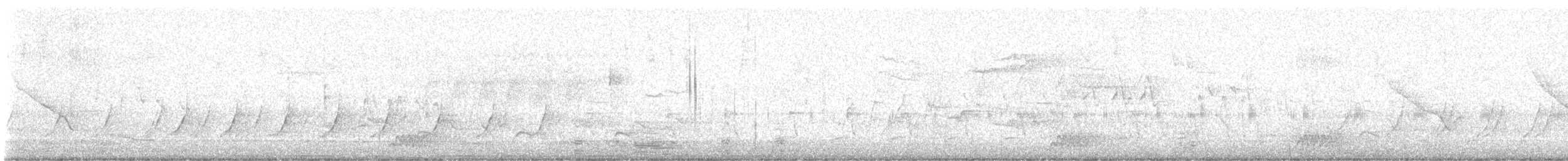 Wilson's Warbler - ML635237620
