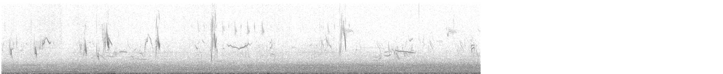 Plain-backed Pipit - ML635238586
