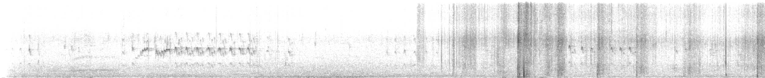 Least Sandpiper - ML635239339