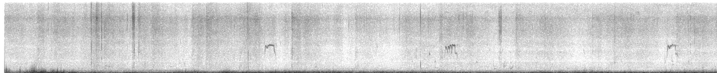 Least Sandpiper - ML635239393