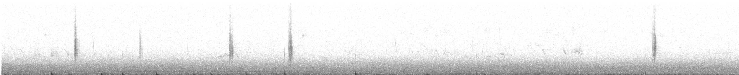 Tarabilla Africana (grupo torquatus) - ML635239456