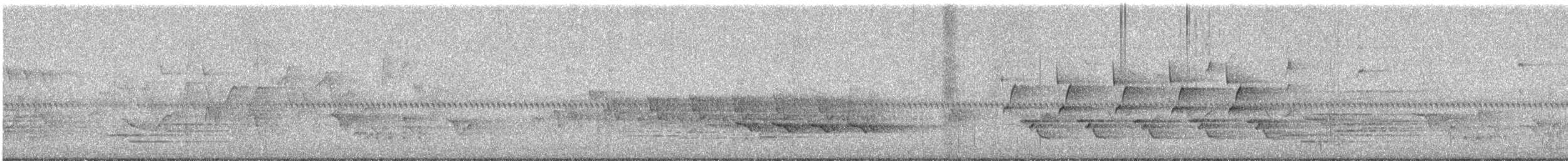 Carolina Wren - ML635240562