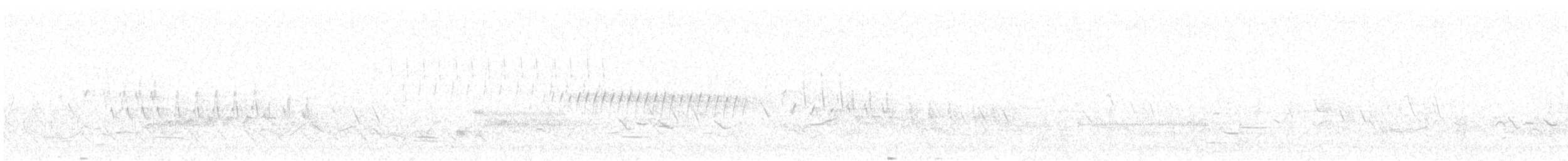 Pine Warbler - ML635241408