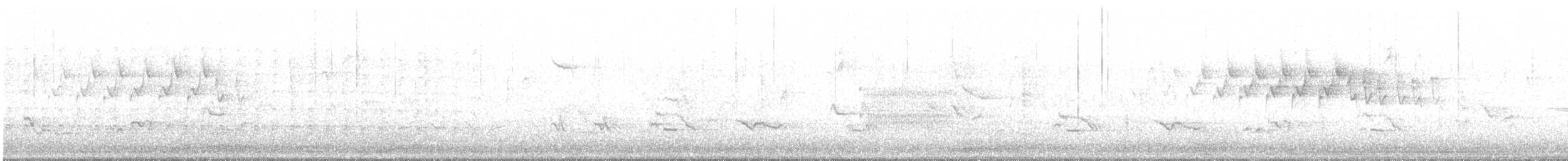 Yellow-rumped Warbler - ML635242909