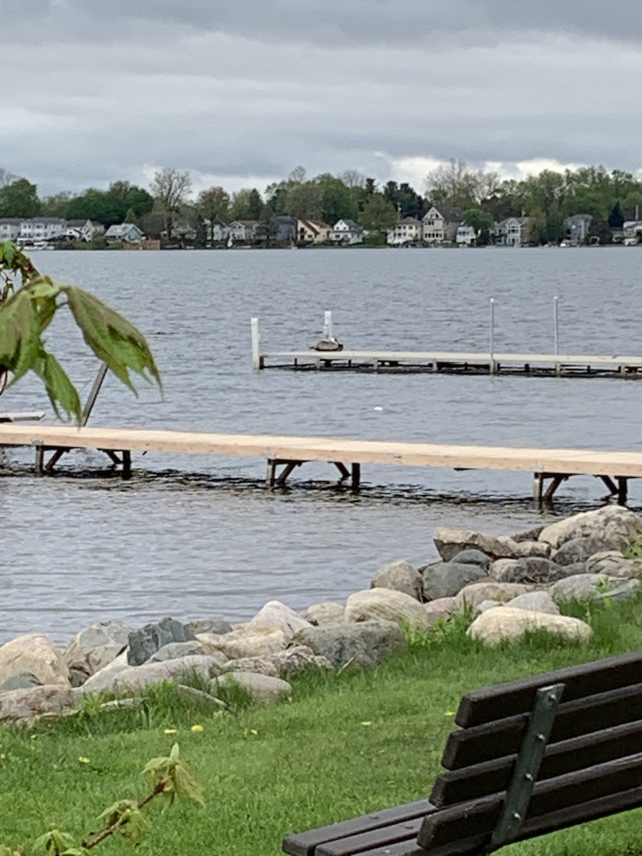 Brown Pelican - ML635244535