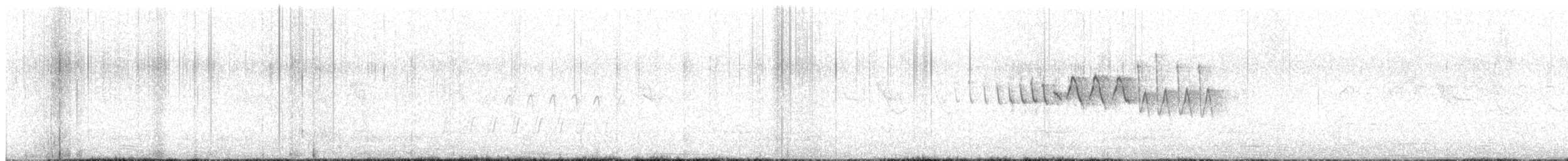 Gray Hawk - ML635249933