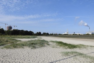 Irishtown Nature Park & Sandymount Strand (north end), Dublin, Leinster ...