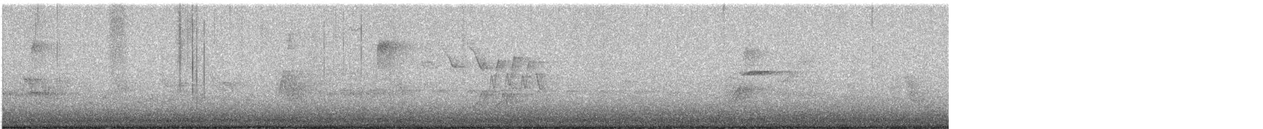 gulparula (aestiva gr.) - ML635250786