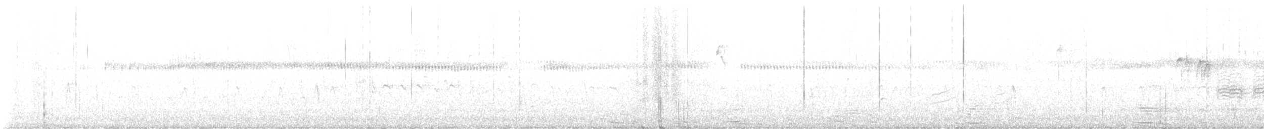amerikameis - ML635251093
