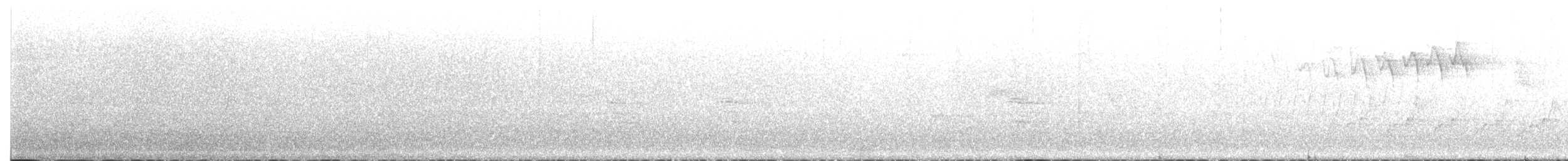 Bay-breasted Warbler - ML635251528