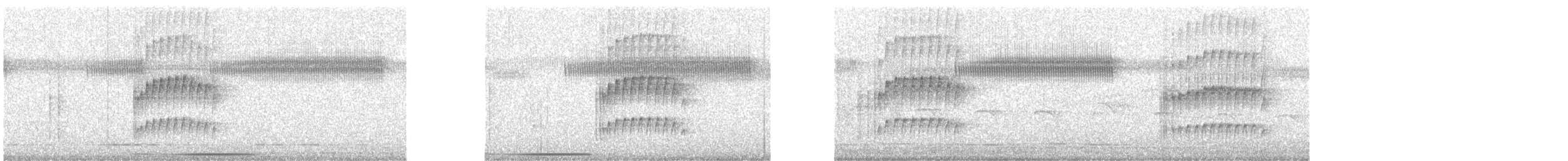 Pale-eyed Pygmy-Tyrant - ML635254999