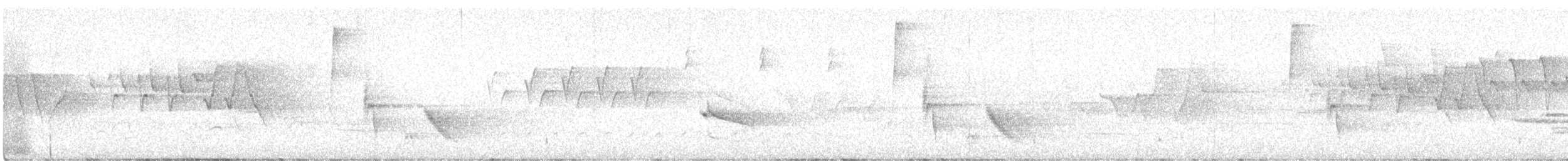 White-eyed Vireo - ML635255723