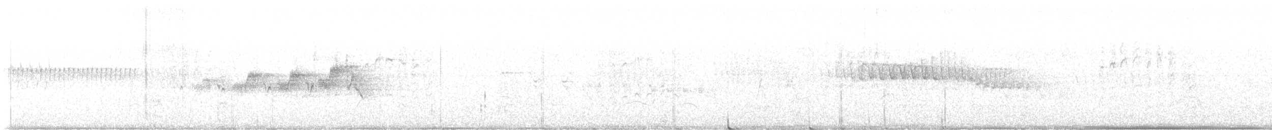 Black-throated Gray Warbler - ML635259143