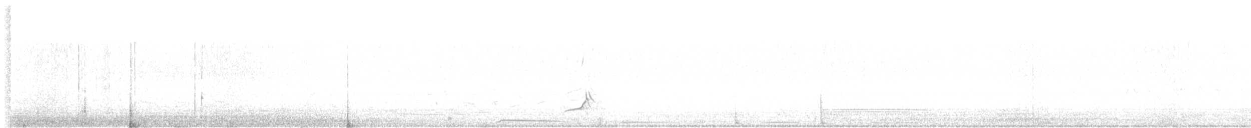 Northern Bobwhite - ML635259217