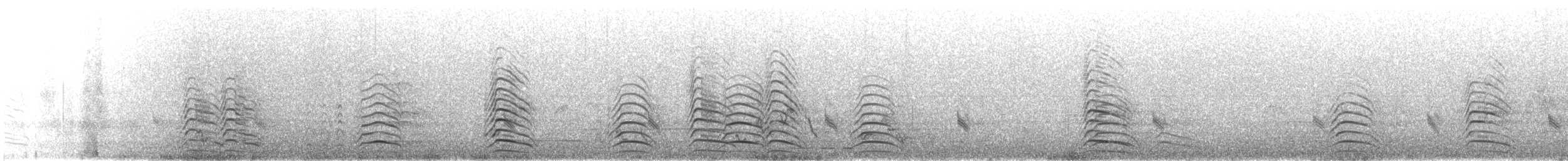 Black-tailed Gull - ML635262238