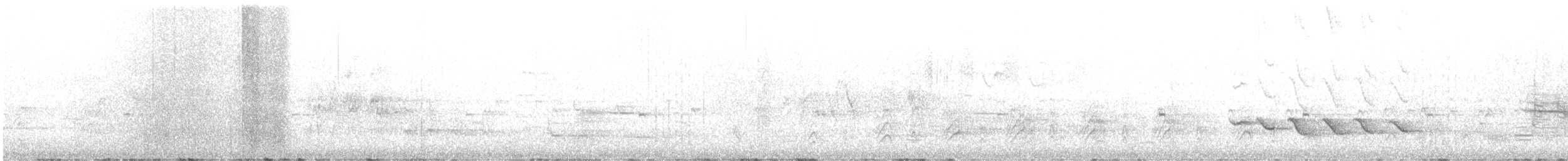 ボルチモアムクドリモドキ - ML635262911