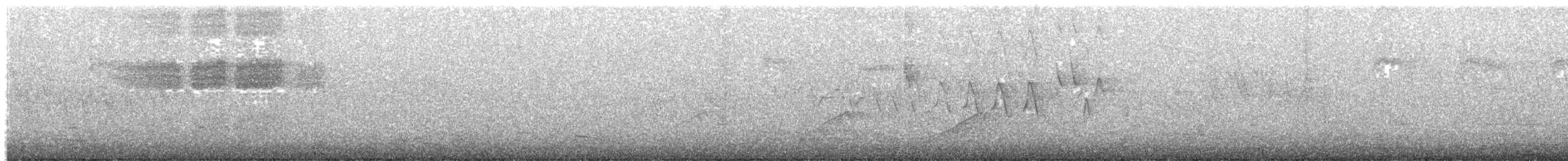 Brewster's Warbler (hybrid) - ML635266901