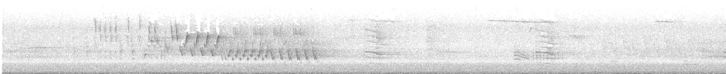 Northern House Wren - ML635267338