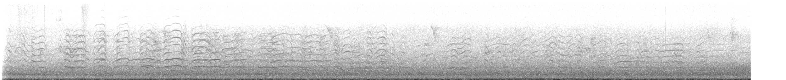 Laughing Gull - ML635267642